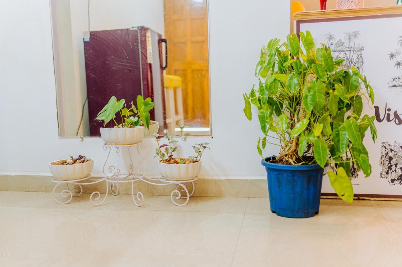 Saligao White House In Goa, Truly Amazing Experience Bed & Breakfast エクステリア 写真